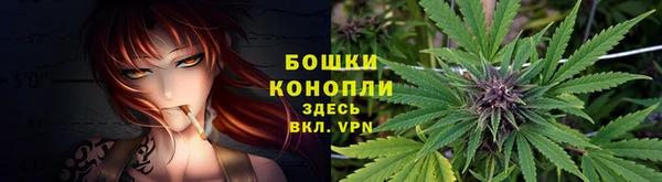 ПСИЛОЦИБИНОВЫЕ ГРИБЫ Киренск