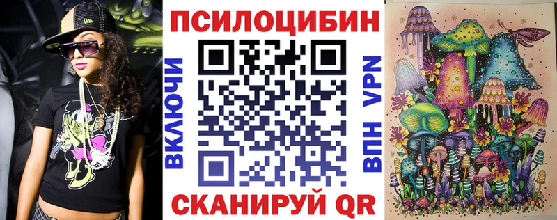 Галлюциногенные грибы Psilocybe  Купить  Балей 