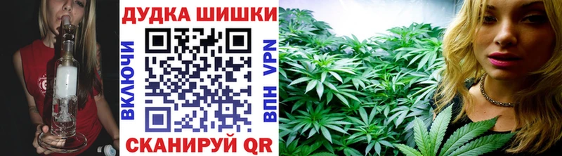 Купить где  Балей  Конопля ГИДРОПОН 